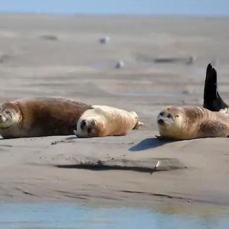 Gite Escale Oceania En Baie De Somme A Ault, 50M De La Mer Extérieur photo